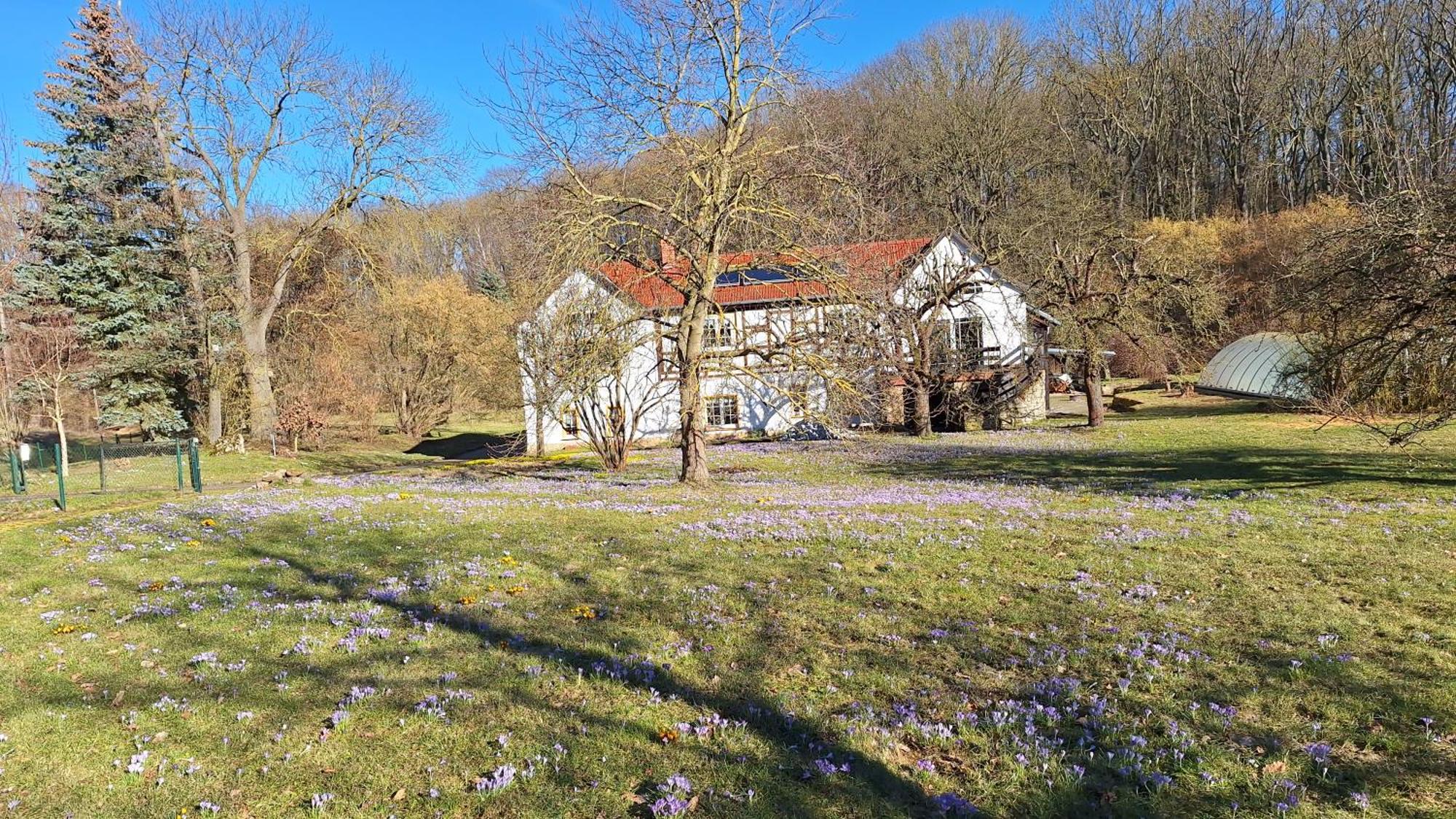 Ferienwohnung Obermuehle Ballstädt Oda fotoğraf