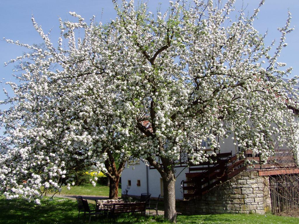Ferienwohnung Obermuehle Ballstädt Oda fotoğraf