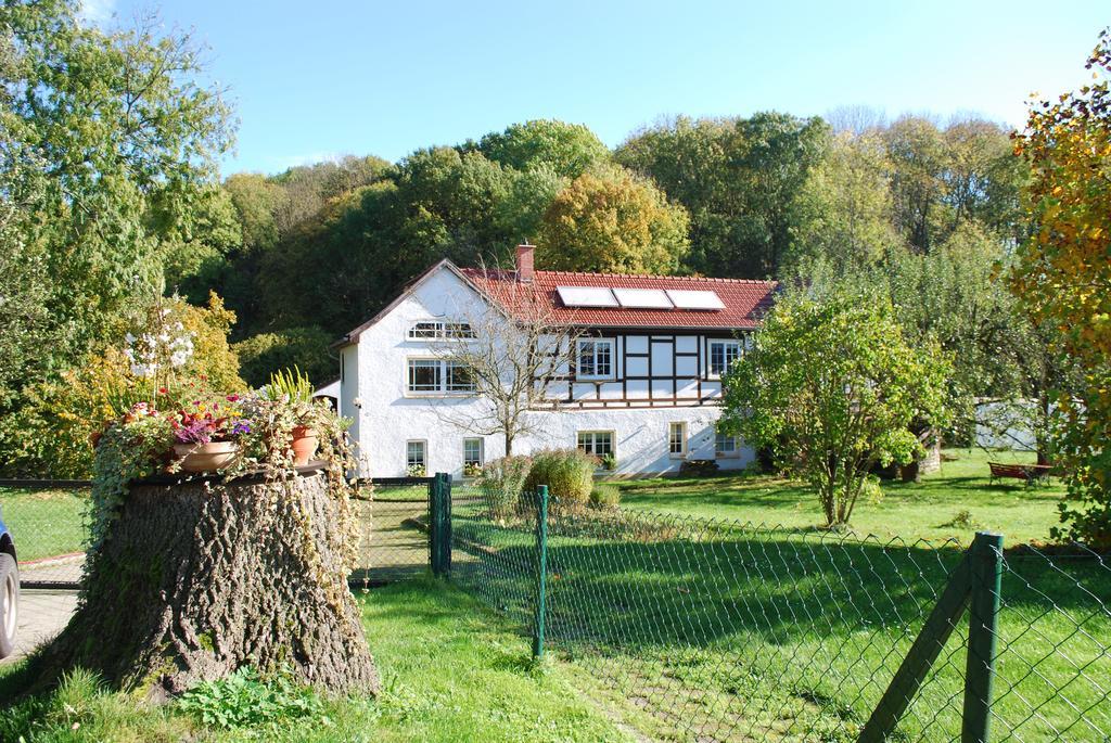 Ferienwohnung Obermuehle Ballstädt Oda fotoğraf